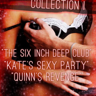 Dani's Erotica Shorts Collection I: Quickies!, #4
